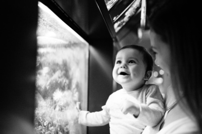 A baby laughs at fish in an aquarium.