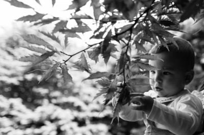 A baby looks at leaves iin a garden.