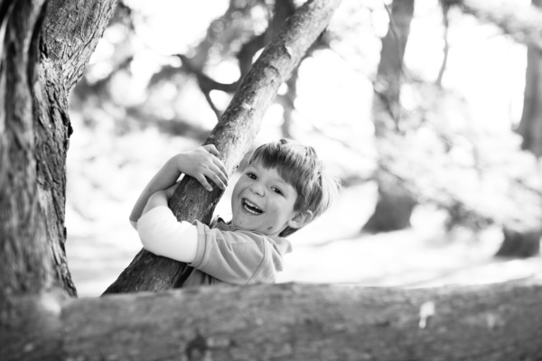 A boy plays in a tree, while hugging a branch.