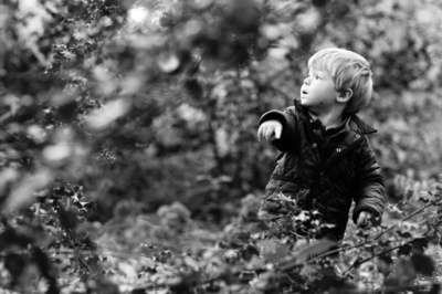 A boy walks amongst holly in a black and white portrait.