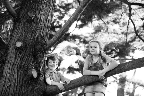 A brother and sister climb a tree.