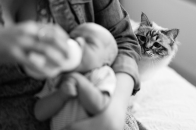 A cat watches a newborn baby feeding.