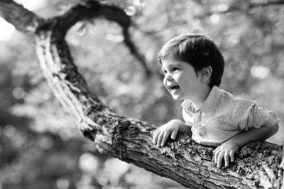 A smiling child leans on a tree branch.