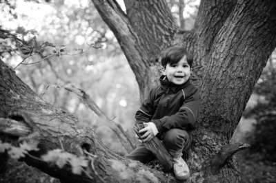 A smiling child crouches in a tree.