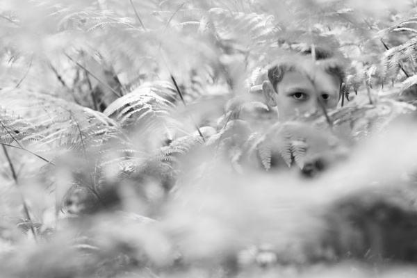 A child hides in ferns.