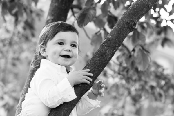 A child hangs onto a tree branch in a black and white portrait.