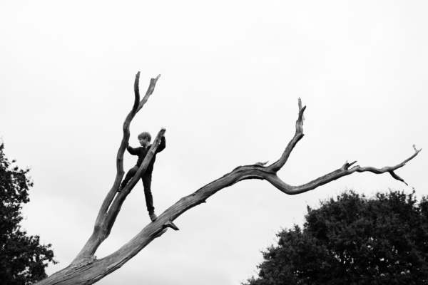 A boy in a tree looks into the distance.