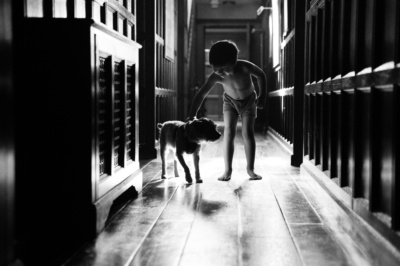 A child pets dog in a family home.