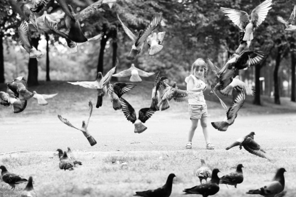 A child scatters food towards pigeons.