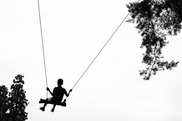 A child on a rope swing, swings through the trees.