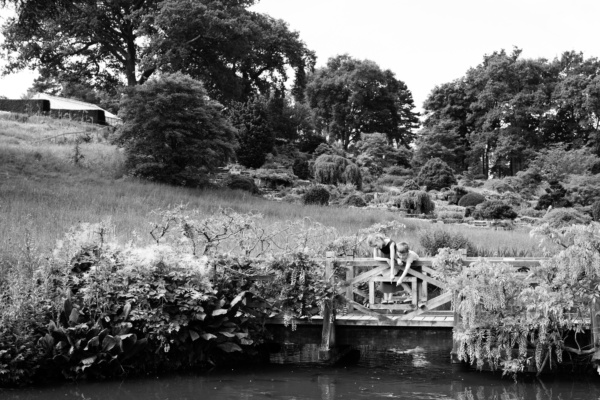 Children play on a wooden bridge overlooking a stream.