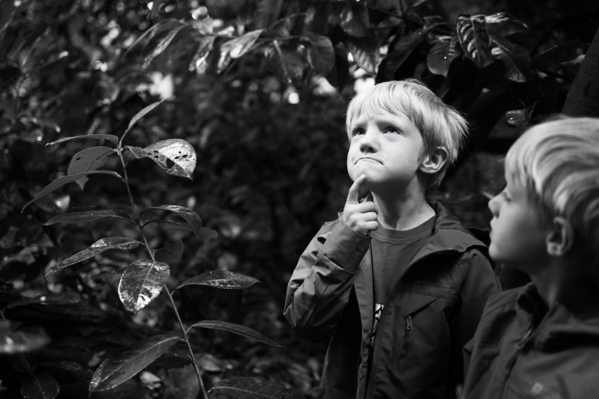 Children ponder together in a garden.