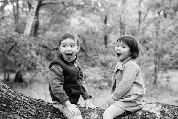 Two children sit on a tree in the woods.