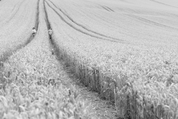 Children walk through a field.