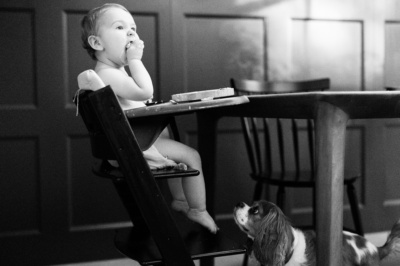 A dog waits for scraps from a baby in their high chair.