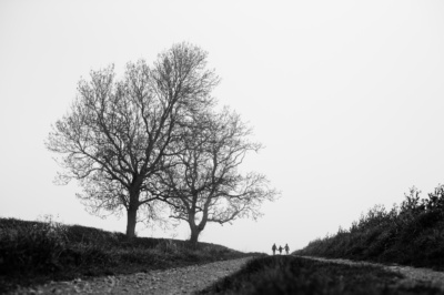 A dramatic environmental family silhouette with three on the horizon.