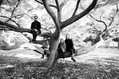 A family balances in a tree for a family portrait.