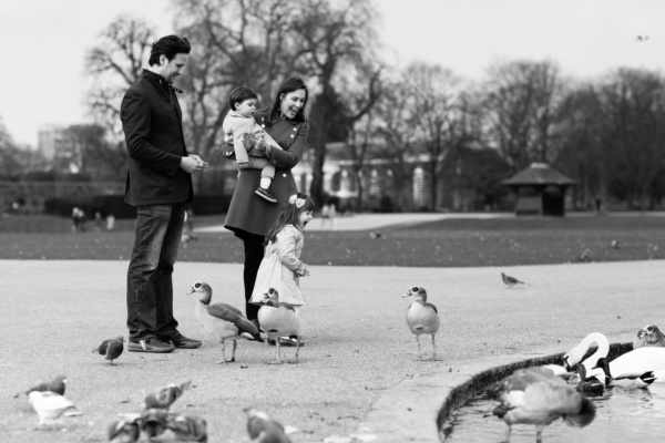 A family feeds ducks in London.