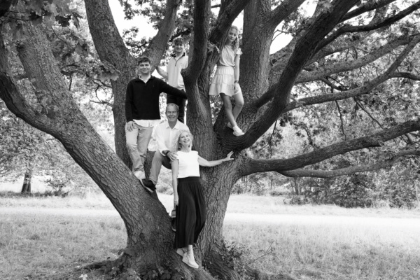 A family portrait in a tree.