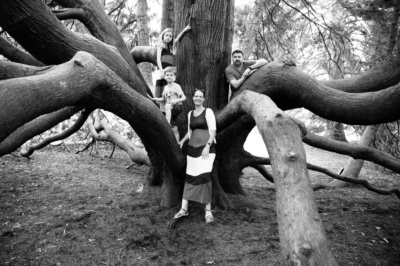 A family poses in an old tree.