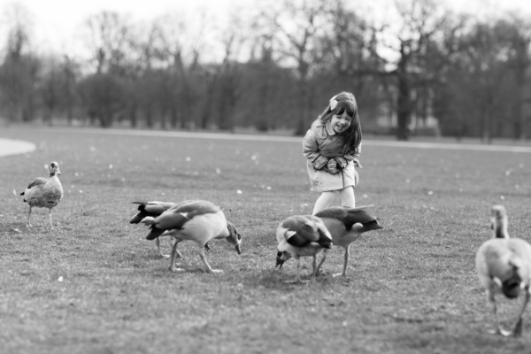 Girl giggles at geese in a London park.