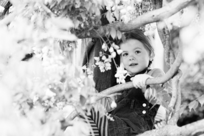 A girl sits in a flowering tree.