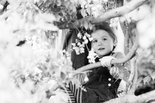 A girl sits in a flowering tree.