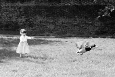 A girl chases away a duck.