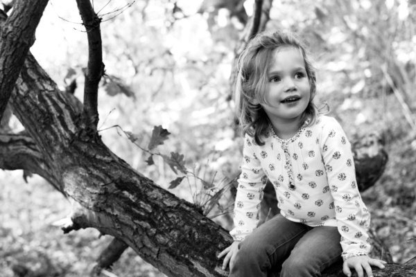 A girl sits in a tree for a portrait.