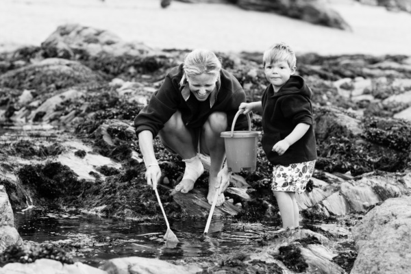 A mother and her son go rockpooling with a net and bucket.