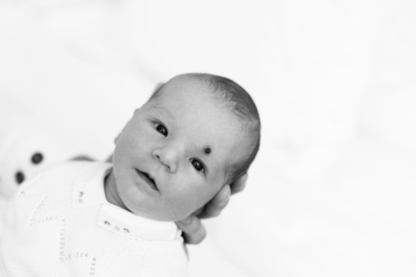 A newborn portrait with the parent holding their head.