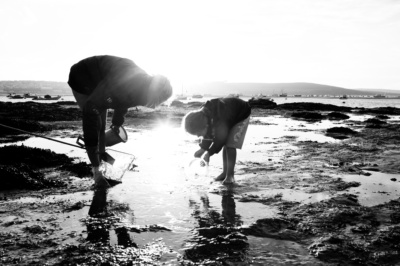 A parent and their child go rock-pooling together.