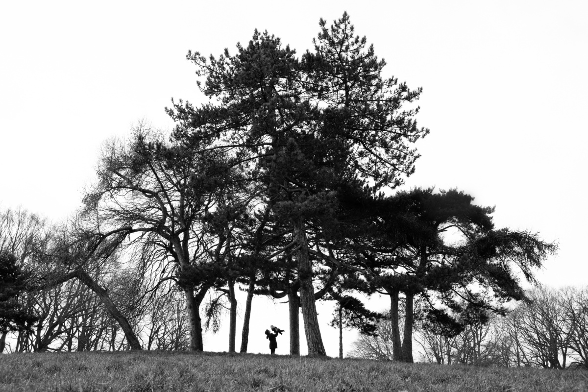 Parents swing their baby into the air, framed by large trees.