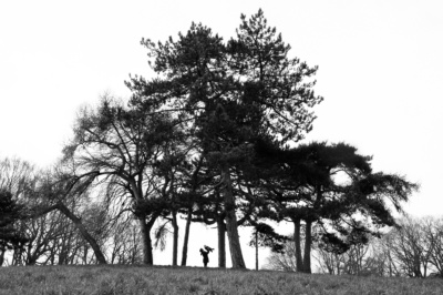 Parents swing their baby into the air, framed by large trees.