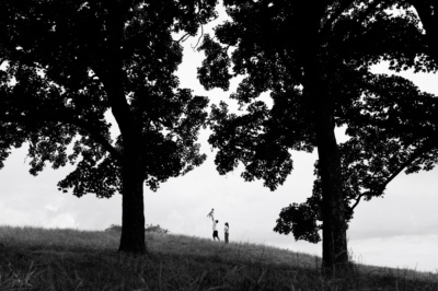 Parents hold their child aloft between trees in a family portrait.