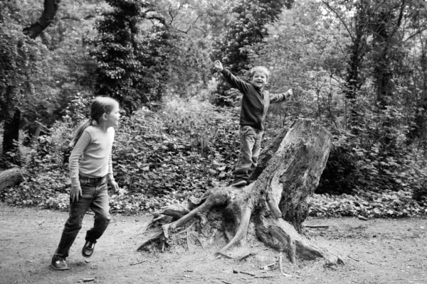 Siblings play in the wood.