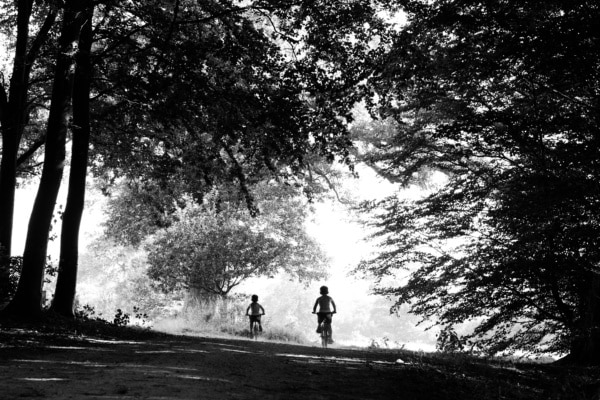 Siblings ride a forest trail on their bikes.