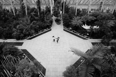 Siblings swing each around in a conservatory.