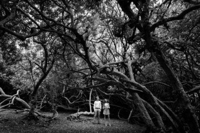 Teenage siblings look towards the sky with gnarly trees in the background.