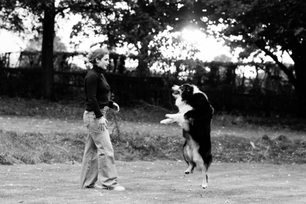 A teenager plays with their family dog outdoors.