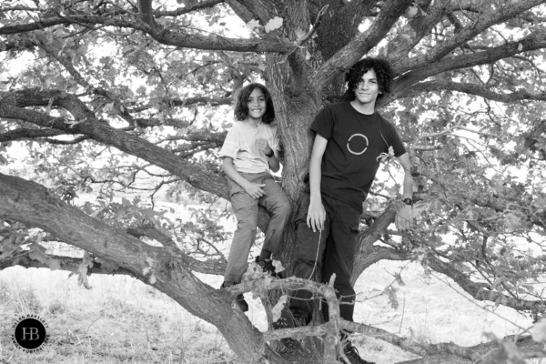 teenage-boys-in-tree-on-family-photo-shoot