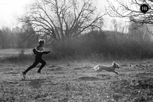 boy-and-dog-run-winter-light-hampstead