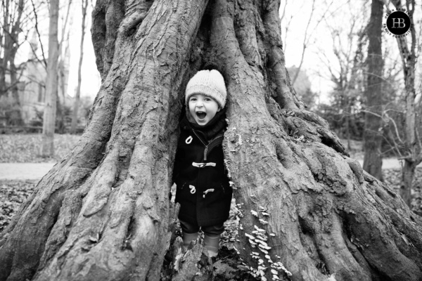 little-boy-plays-in-trees