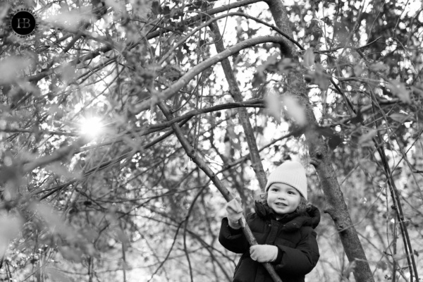 little-boy-plays-in-trees-winter-photo-shoot