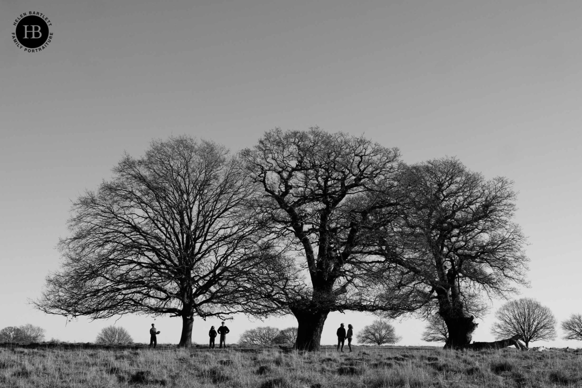 black and white photograph of family of five posed between three enormous silhouetted trees. Monochrome photograph on family photo shoot in East Sheen