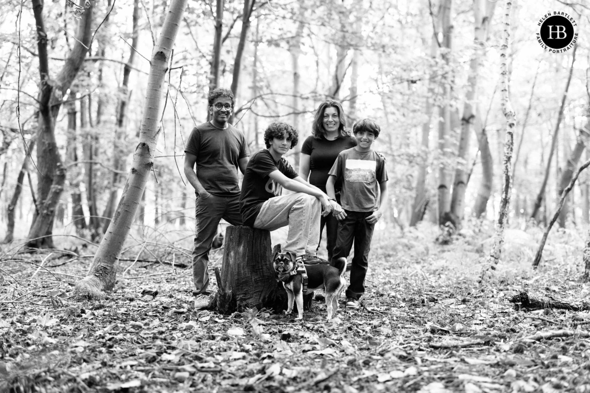 Family of four and their two dogs gathered around a tree stump during a family photo shoot in Suffolk woodland.