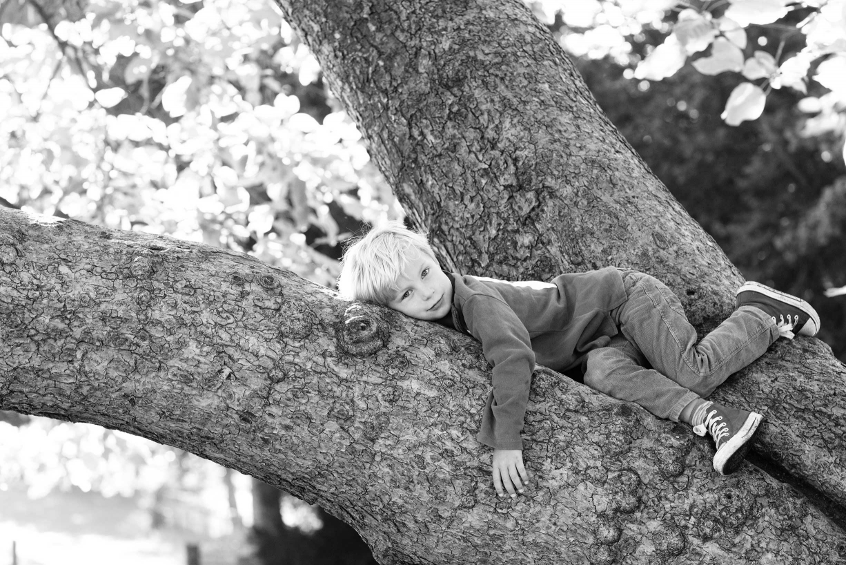 A child climbs a tree during a documentary style portrait shoot in Chiswick.