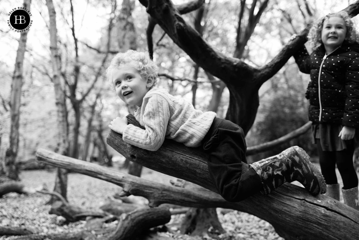 portrait photo of boy climbing tree on photo shoot in highgate, North London