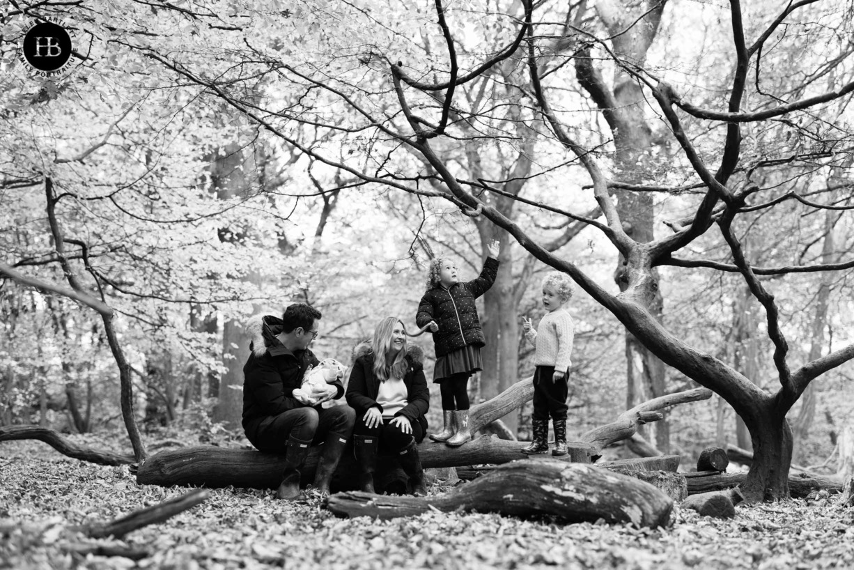 family of mum, dad, two children and newborn baby on a tree during family photoshoot in highgate wood