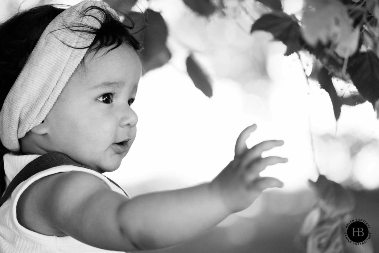 baby-reaches-for-leaves-kensington-gardens